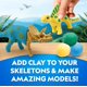 thumbnail image 3 of Kit de actividades de dinosaurios Blue Marble National Geographic, 3 of 9