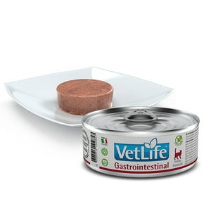 Vetlife - Vet Life Alimento Gato Lata Gastrointestinal 85Gr