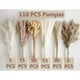 thumbnail image 1 of 110pcs Dry Dandelion Reed Bouquet, Boho Table Decor, Rabbit Tail Dried Flower, Brown Dandelion Reed, White Dandelion Reed For Wedding, Home, Country Party, Baby Shower Decoration, 1 of 2