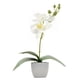 thumbnail image 2 of Orquidea Artificial 5X5X22.5Cm, 2 of 3