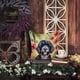 thumbnail image 5 of Cojín Decorativo Luau Party, 5 of 6