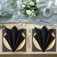 thumbnail image 3 of Paquete de 24 servilletas de tela negras Ramanta Home 46 cm, 3 of 9