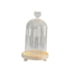 thumbnail image 1 of Campana De Cristal Cúpula Flores Eternas Cúpulas De Cristal Vitrina Cúpula Transparente Cloche Corazón, 1 of 5