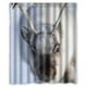 thumbnail image 1 of Cortina de ducha de ciervo blanco, juego de cortina de baño con ganchos, tamaño 66 x 72 pulgadas, 1 of 3