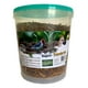 thumbnail image 3 of Súper Tenebrios Deshidratados Para Aves Erizos Hámsters 400g, 3 of 3