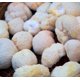 thumbnail image 2 of Melena de Leon 50 g, 2 of 2