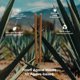 thumbnail image 2 of Pajilla reutilizable THE SUSTAINABLE AGAVE COMPANY 20 cm (paquete de 2000), 2 of 8
