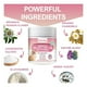 thumbnail image 3 of Nutridog Pet Probiotix Probioticos Skin Care Vitamina Perros, 3 of 7
