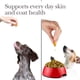 thumbnail image 3 of Suplementos Nutri-Vet Aceite de pescado para piel y pelo de perros, 100 cápsulas blandas, 3 of 6