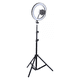 thumbnail image 1 of Aro De Luz Led Con Tripode Aro 26cm 2.1 Metros Tik Tok, 1 of 2