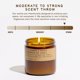 thumbnail image 3 of Vela P.F. Candle Co. Teakwood & Tobacco 355 ml, 3 of 6