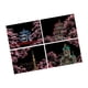 thumbnail image 2 of 4x Adornos De Papel Para Rascar, Hojas Negras Para Rascar, Dibujos, Pintura Para Rascar, Sakura, 2 of 5