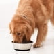 thumbnail image 4 of Cuenco de acero inoxidable para perros y gatos, antideslizante, con base de goma antiderrames., 4 of 5