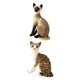 thumbnail image 4 of 2 Uds Gatos De Simulación Animal Relleno De Felpa Juguete De Peluche Regalo De Cumplea?os Sentado, 4 of 5