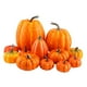 thumbnail image 1 of 12 Calabazas Artificiales Vivas Para Fiesta De Otoño, Accesorios De Cosecha De Otoño, Amarillo De Acción De Gracias, 1 of 4