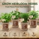 thumbnail image 3 of Kit de macetas para huerto de hierbas de interior HOME GROWN con 4 semillas de hierbas, 3 of 8