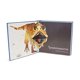 thumbnail image 2 of Libro WALKER BOOKS Mi Primer Pop‑Up de Dinosaurios, 2 of 3