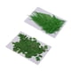 thumbnail image 4 of 18 Piezas De Hojas De Helecho Prensado Flores Secas Naturales DIY Scrapbooking Artesanías, 4 of 5