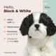 thumbnail image 2 of Perro de peluche Bearington, blanco y negro, 33 cm, 2 of 6