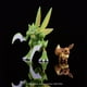 thumbnail image 3 of Paquete Figuras Pokémon Battle Eevee 5cm y Scyther 11cm, 3 of 3