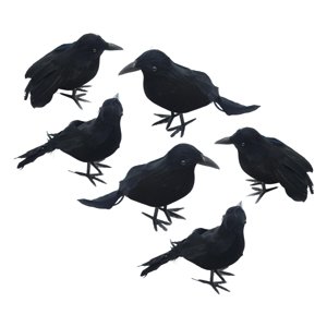 Bothyi - 6X Simulación De Cuervos De Halloween, Accesorio De Cuervo Para Fiesta, Evento, Suministros De Halloween