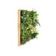 thumbnail image 3 of Jardin Vertical Irlanda, 3 of 4