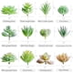 thumbnail image 2 of Miniplantas artificiales HappyHapi para suculentas artificiales, 12 unidades, 2 of 7
