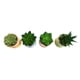 thumbnail image 3 of Planta Artificial Suculenta 13 cm Producto Surtido, 3 of 4