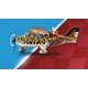 thumbnail image 4 of Avión propulsor Toy Playmobil Air Stunt Show Tiger, 4 of 8