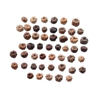 Bothyi - 50 Minicápsulas De Calabaza Decorativas Para Hacer Coronas De Boda O Para El Hogar