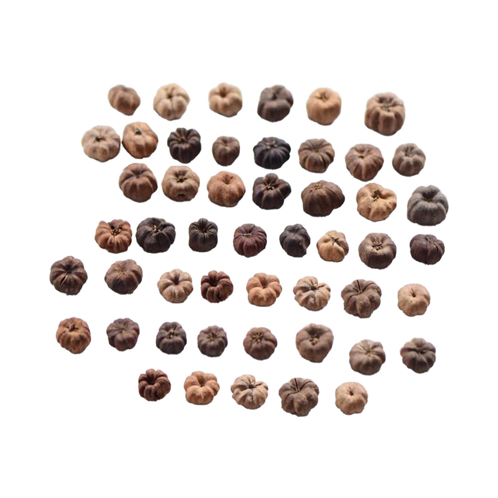 Bothyi - 50 Minicápsulas De Calabaza Decorativas Para Hacer Coronas De Boda O Para El Hogar