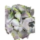 thumbnail image 2 of Hortensia Lila 52cm Con Textura Realista, 2 of 3