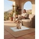 thumbnail image 5 of Almohadilla Talla S Para Perros De 33cmx45cm 100u, 5 of 6