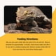 thumbnail image 4 of Snacks para Reptiles Fluker's Grub Bag Fortificados con Calcio 113 g, 4 of 8