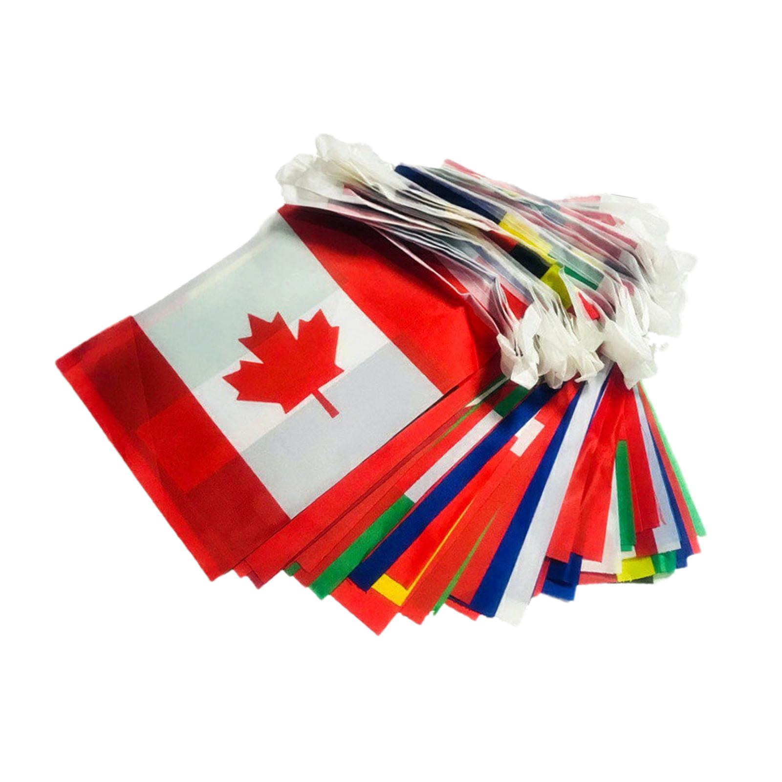 Ioensy - Conjunto De Pancartas De Banderas De Cuerda Mundial De Poliéster Para Festivales, Decoraciones Para Fiestas, Regalo, 14Cm X 21Cmx15M