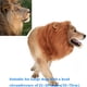thumbnail image 2 of Peluca con melena de león para perros grandes TESSVEYA Brown, 2 of 7