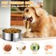 thumbnail image 4 of Tazones ShineMe para perros 1,8 L y 1,2 L, juego de 2, acero inoxidable, 4 of 8