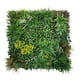 thumbnail image 1 of Jardin Vertical Primavera, 1 of 2