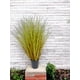 thumbnail image 3 of Planta Decorativa Pasto Con Caida Verde-Cafe 72Cm, 3 of 3