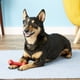 thumbnail image 3 of Hueso Kong Goodie Bone Perro - Talla M, 3 of 3