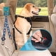 thumbnail image 2 of Cinturon De Seguridad Para Mascotas Correa Auto Perros Gato 2,5 cm Diseño Multicolor, 2 of 2