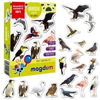 Magdum - Juego De Imanes Para Nevera Para Niños Pequeños, Imanes Con Fotos De Pájaros Para Niños