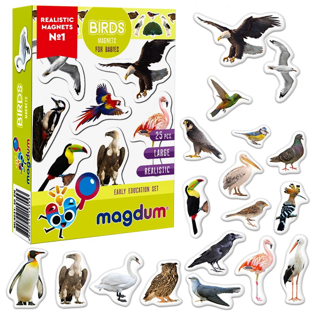 Magdum - Juego De Imanes Para Nevera Para Niños Pequeños, Imanes Con Fotos De Pájaros Para Niños