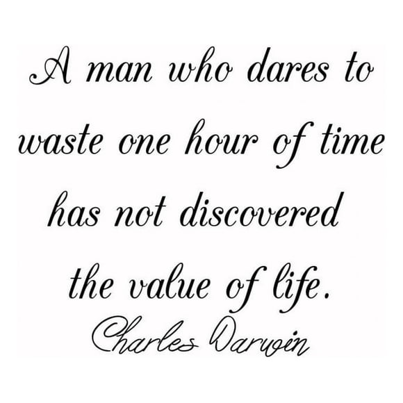 Decomural The Value Of Life Charles Darwin WS-44080