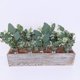 thumbnail image 3 of Ramas de Eucalipto Artificial Winlyn, 10 Piezas, 3 of 3
