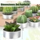thumbnail image 3 of Pack 12 velas cactus decorativas verde, 3 of 3