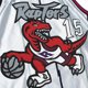 thumbnail image 3 of Swingman Nba Toronto Raptors Vince Carter Plat 1998-99 HC 75th Anniversary Jersey Mitchell And Ness, 3 of 4