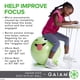 thumbnail image 4 of Silla Con Pelota De Equilibrio Kids Stay n play Con Bomba De Aire, 4 of 6