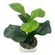 thumbnail image 4 of Planta Artificial 2 31cm, 1 unidad, 4 of 4
