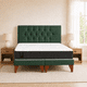 thumbnail image 2 of Cama 2 plaza  Capitoné + Respaldo 2P Capitone Verde  + Colchón 2P Mery Desing, 2 of 7